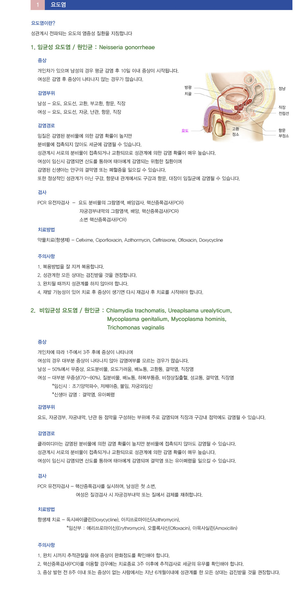 성매개체 감염